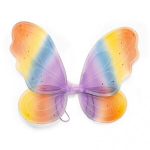 ailes de fée, arc en ciel